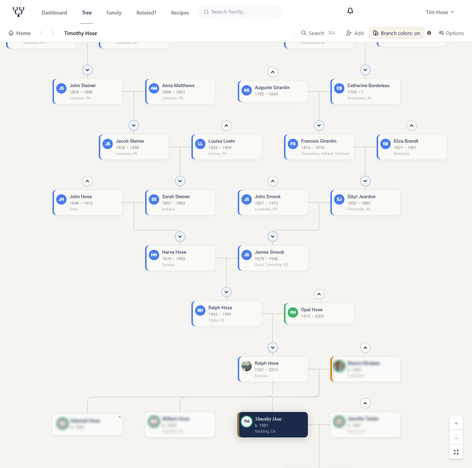 The interactive family tree: rows of ancestor cards connected by lines, each card carrying a colored stripe for its grandparent branch, with expand and collapse chevrons between generations. Living relatives at the bottom are blurred.